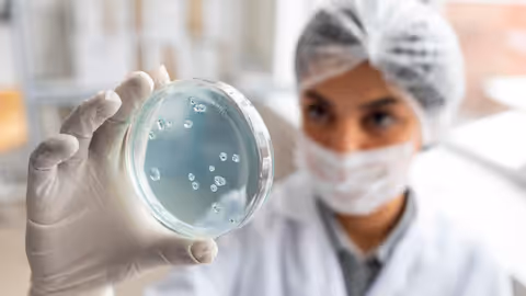 Antibody Development Guide: Explore Immunology Principles, Research Insights, and Essential Information